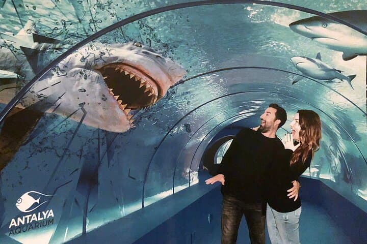 Half-Day Antalya Aquarium & Face2Face Wax Museum Tour — Antalya Aquarium Experience photo 2