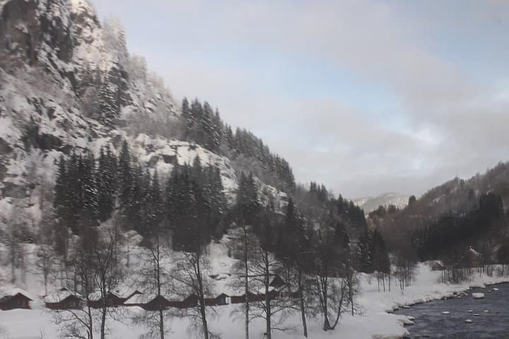 Brides Veil & Steinsdalsfossen: Hardanger Fjord Waterfall Day Tour from Bergen photo 3