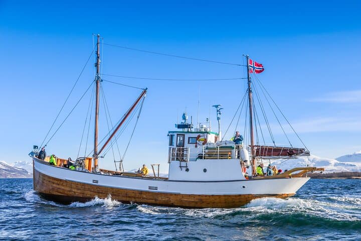 Tromsø Half-Day Fishing and Fjord Cruise: Catch Cod, Coffee and Arctic Scenery photo 1