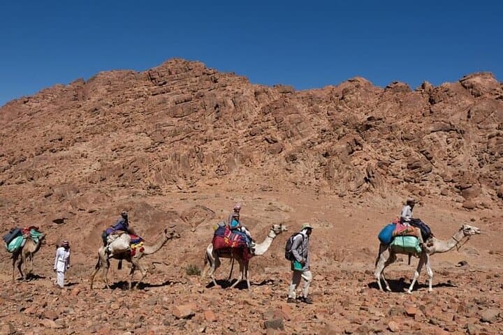 Blue Hole to Towailat: Dahab Day Trip with Snorkel, Camel Ride & Mountain Views photo 3