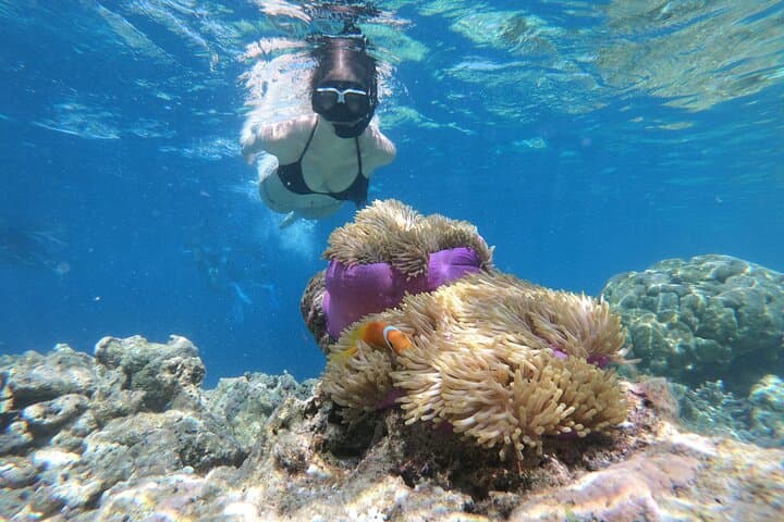 Blue Hole to Towailat: Dahab Day Trip with Snorkel, Camel Ride & Mountain Views photo 6