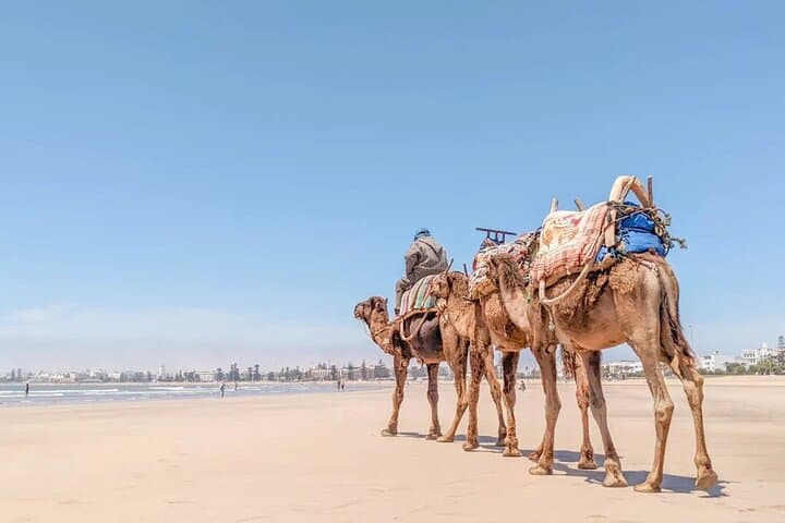 Essaouira Full-Day Trip from Agadir: Explore Mogador’s Medina, Harbor & Atlantic Beaches photo 4