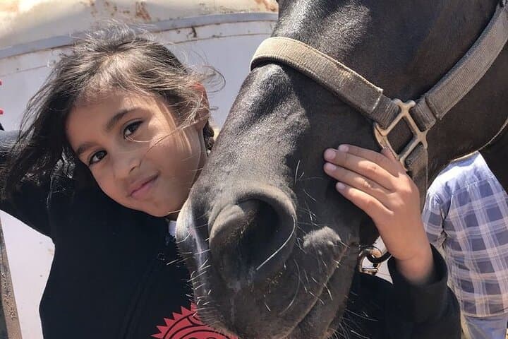 Private Horseback Riding and La Bufadora Shore Excursion in Ensenada: A Coastal Adventure photo 5