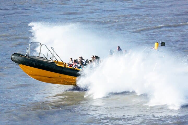 Ultimate Tower RIB Blast: 40-Minute Private Speedboat from Tower Pier