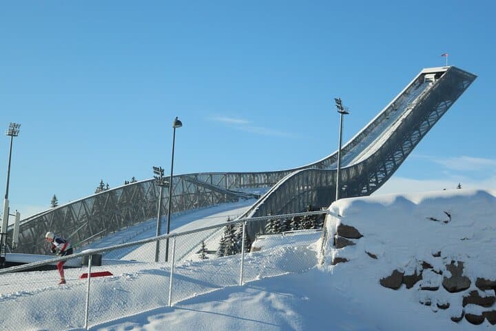 Oslo City Highlights and Electric Fjord Cruise — Vigeland, Holmenkollen & Oslofjord photo 5