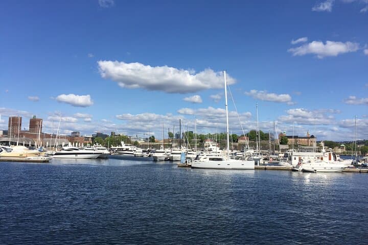 Oslo City Highlights and Electric Fjord Cruise — Vigeland, Holmenkollen & Oslofjord photo 4