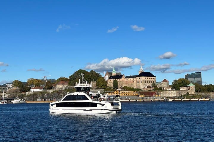 Oslo City Highlights and Electric Fjord Cruise — Vigeland, Holmenkollen & Oslofjord