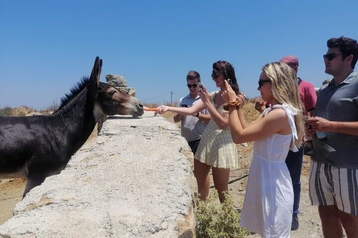 Mykonos Half-Day Small-Group Tour: Old Town, Windmills & Swim photo 3