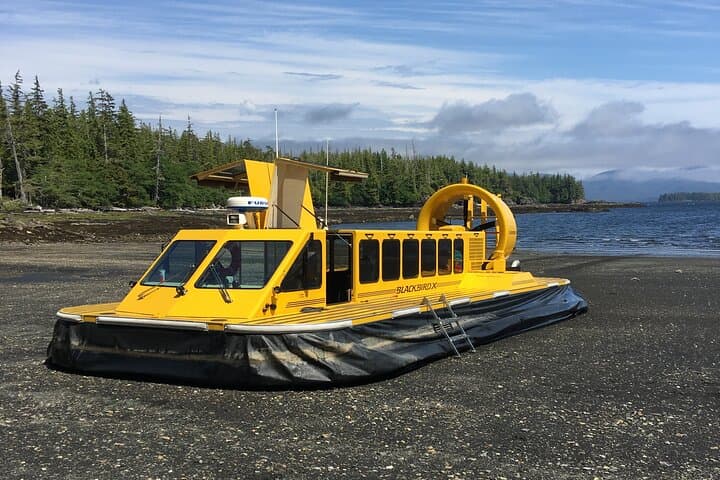 Ketchikan Hovercraft Eco Adventure — Beach Landings & Wildlife Viewing photo 6