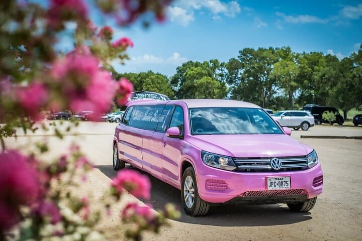 Fredericksburg Private Wine Tour: Volkswagen Limo Tasting Experience photo 5