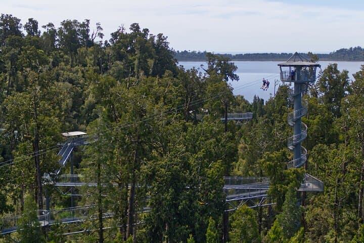 West Coast Tower Zipline & Treetop Walk: Greymouth Canopy Adventure photo 5
