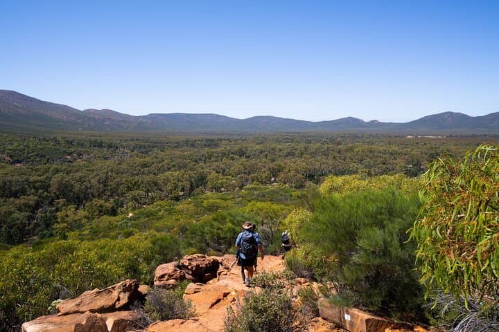 Uluru to Adelaide 7-Day Outback Adventure: Uluru, Kings Canyon & Flinders Ranges photo 5