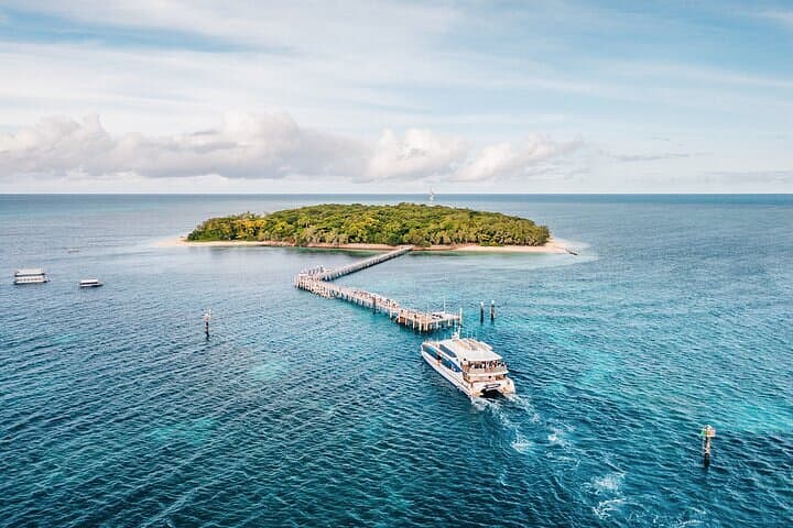 Green Island Snorkel & Glass-Bottom Boat from Cairns: Reef, Rainforest and Easy Day Trip photo 1