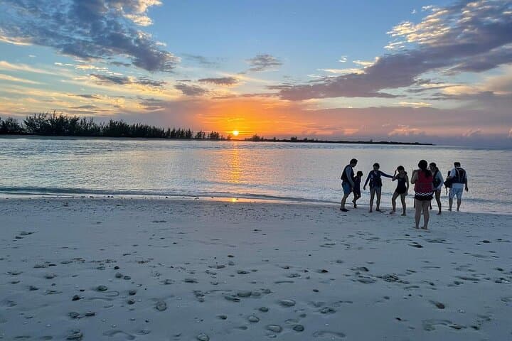 Land and Sea Adventure Tour in Providenciales — Pine Cay, Shipwreck & Mangrove Explorer photo 3