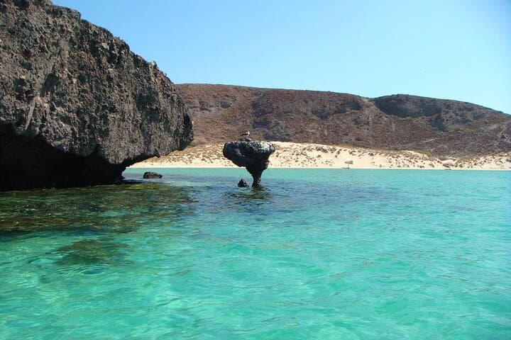 Balandra Beach, La Paz & Todos Santos: Mushroom Rock, Mangroves & Shallow Bays photo 3