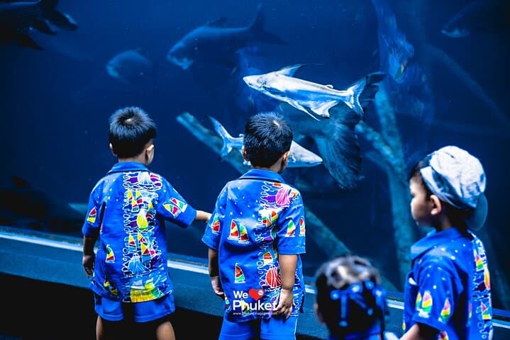 Aquaria Phuket: Explore Thailand’s Largest Aquarium at Central Floresta photo 2