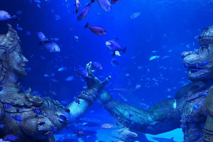 Aquaria Phuket: Explore Thailand’s Largest Aquarium at Central Floresta photo 4