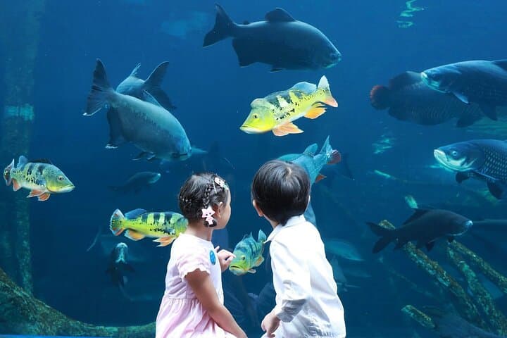 Aquaria Phuket: Explore Thailand’s Largest Aquarium at Central Floresta photo 5