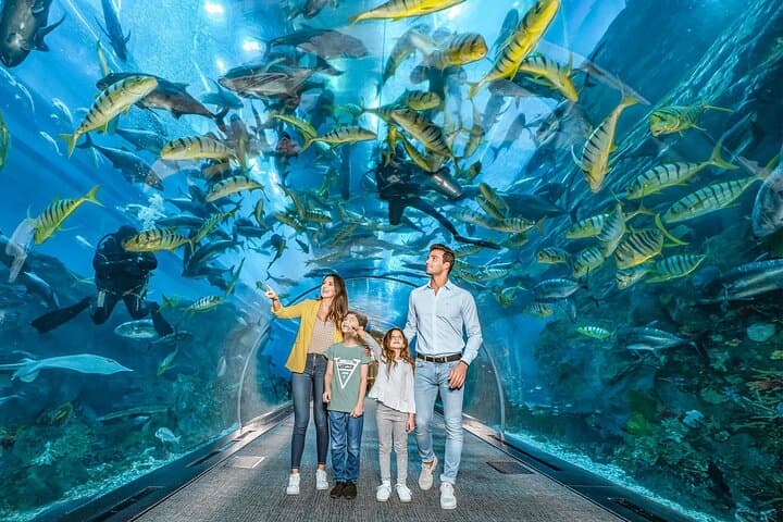 Inside Dubai Aquarium & Underwater Zoo: Giant Tank, Marine Life & Visitor Tips