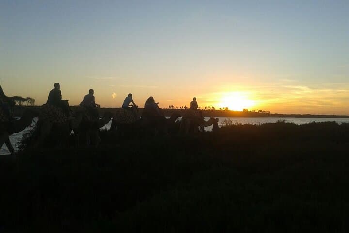 Camel Ride Along the Souss River: 2-Hour Agadir Ranch Experience