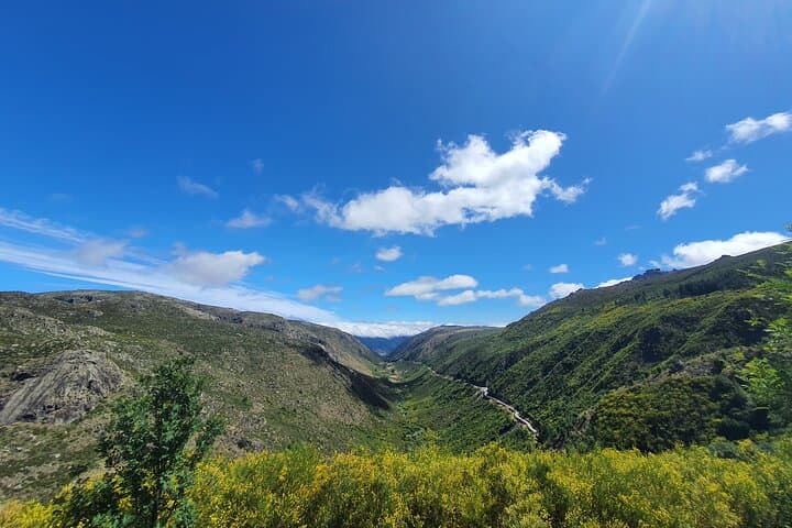 Serra da Estrela Cheese Tasting & Mountain Scenery Tour from Covilhã