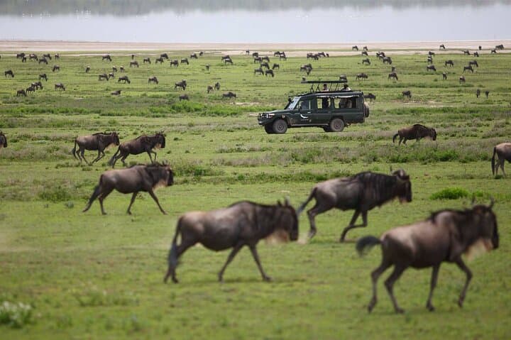 3-Day Masai Mara Private Camping Safari: Big Five, Mara River & Night Camps photo 2