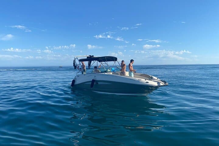 Marbella Sea Ray Private Cruise: 4-Hour Dolphin Watch & Swim photo 2