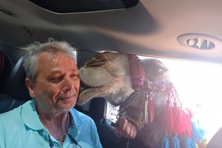 Masada and Dead Sea Private Desert Adventure from Jerusalem or Tel Aviv photo 3