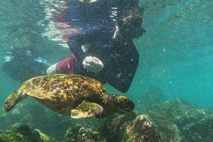 Full-Day Snorkel & Fishing Trip to Pinzón Island and La Fe/Las Palmas — Galápagos photo 3