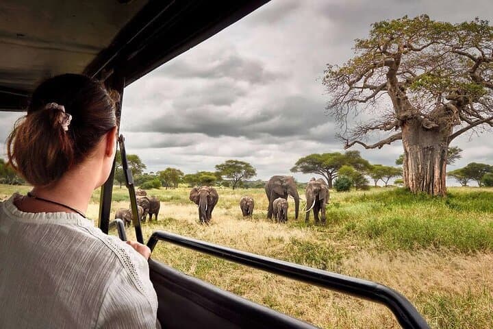 8-Day Tanzania Private Safari: Tarangire, Ngorongoro & Serengeti photo 2