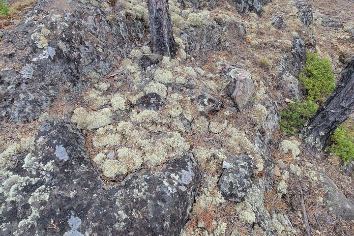 Cameron Falls Waterfall Hike from Yellowknife — Ingraham Trail Adventure photo 4