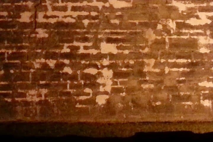 St Augustine Bones Under Us Ghost Walk — Archaeology & Haunted Burials Tour photo 5