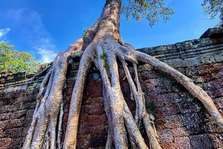 Full Day Angkor Discovery Tour: Angkor Wat, Bayon & Ta Prohm photo 4