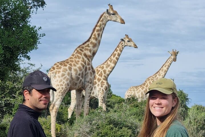 Addo Elephant Park Full-Day Private Safari & Giraffe Walk from Port Elizabeth photo 3