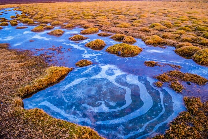 Golden Circle Full-Day Tour from Reykjavík — Þingvellir, Geysir & Gullfoss with Driver photo 4
