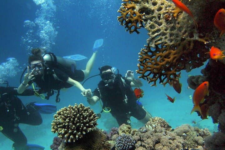 Alanya Scuba Diving: 2-Dive Boat Trip with Lunch and Hotel Pickup photo 3