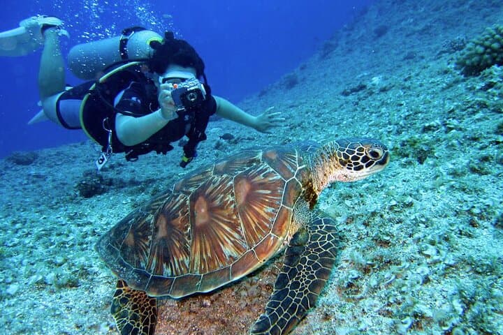 Alanya Scuba Diving: 2-Dive Boat Trip with Lunch and Hotel Pickup photo 5