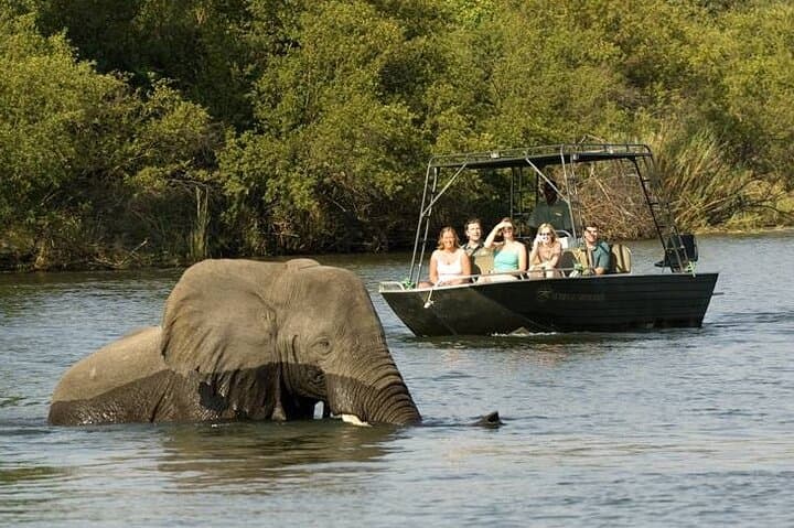 Zambezi River Safari: Close-Up Wildlife Cruises from Livingstone photo 2
