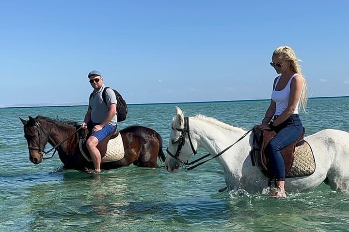 Hurghada Horse & Camel Ride — 2-Hour Private Desert and Beach Experience photo 3