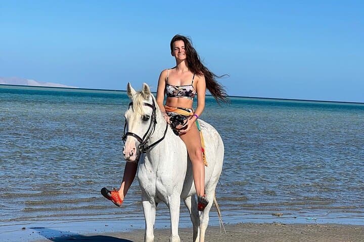 Hurghada Horse & Camel Ride — 2-Hour Private Desert and Beach Experience photo 4
