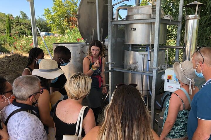 Lavender Distillery Tour Between Provence and the Camargue: From Field to Essential Oil photo 4
