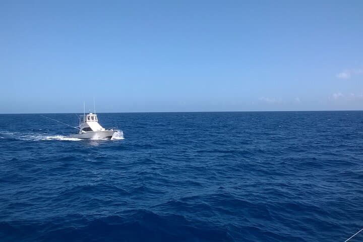 4-Hour Punta Cana Deep-Sea Fishing Trip: Mahi, Wahoo & Marlin