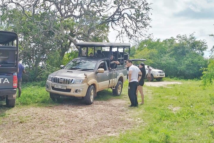 yala-day-safari-from-colombo-leopard-spotting-and-wildlife photo 2