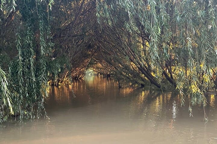 Tigre Delta Private Boat Tour with Island Lunch — All-Inclusive Experience photo 4