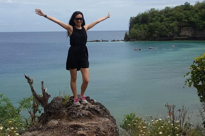 West Coast St. Lucia Half-Day: Breakfast, Pitons, Mud Baths & Waterfalls