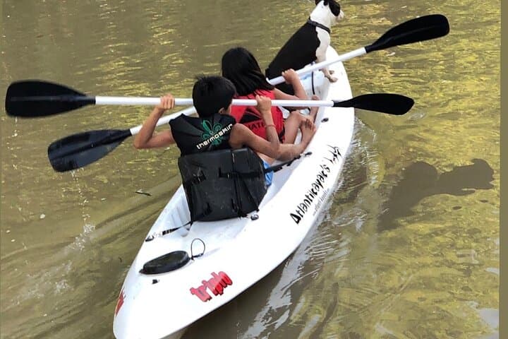 Tigre Delta Private Boat Tour with Island Lunch — All-Inclusive Experience photo 6