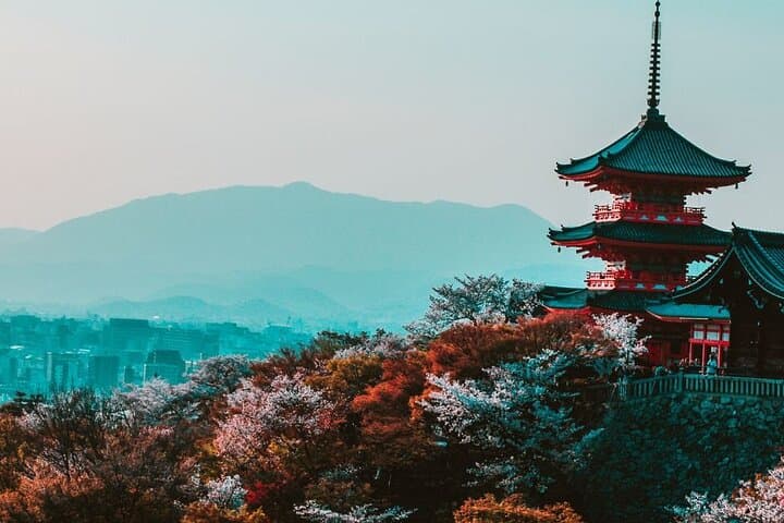 Kyoto Custom Private Walking Tour — Local Guide & Personalized Itinerary photo 2