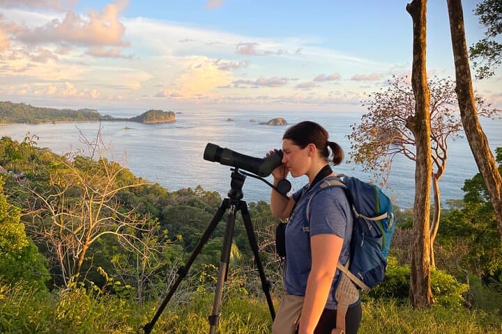 Private Manuel Antonio Sunset & Night Wildlife Hike — Sunset Views and Nocturnal Wildlife