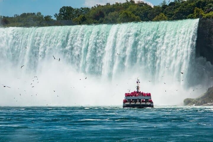 Niagara Falls Day Tour: Hornblower Boat, Wine Tasting & Lunch from Toronto photo 6