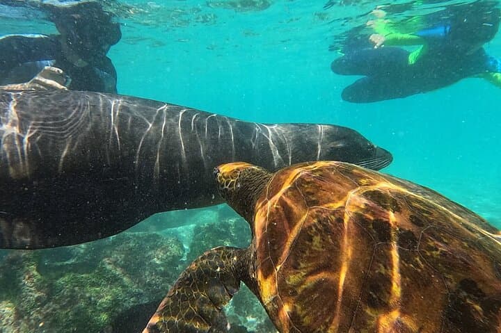 Snorkel Santa Fe Island & Playa Escondida — Galápagos Day Trip photo 4